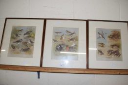 Three coloured prints after Archibald Thorburn, Shaw and Wading Birds