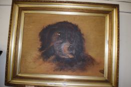 LATE 19TH/EARLY 20TH CENTURY SCHOOL STUDY OF A DOGS HEAD, OIL ON CANVASS, GILT FRAMED