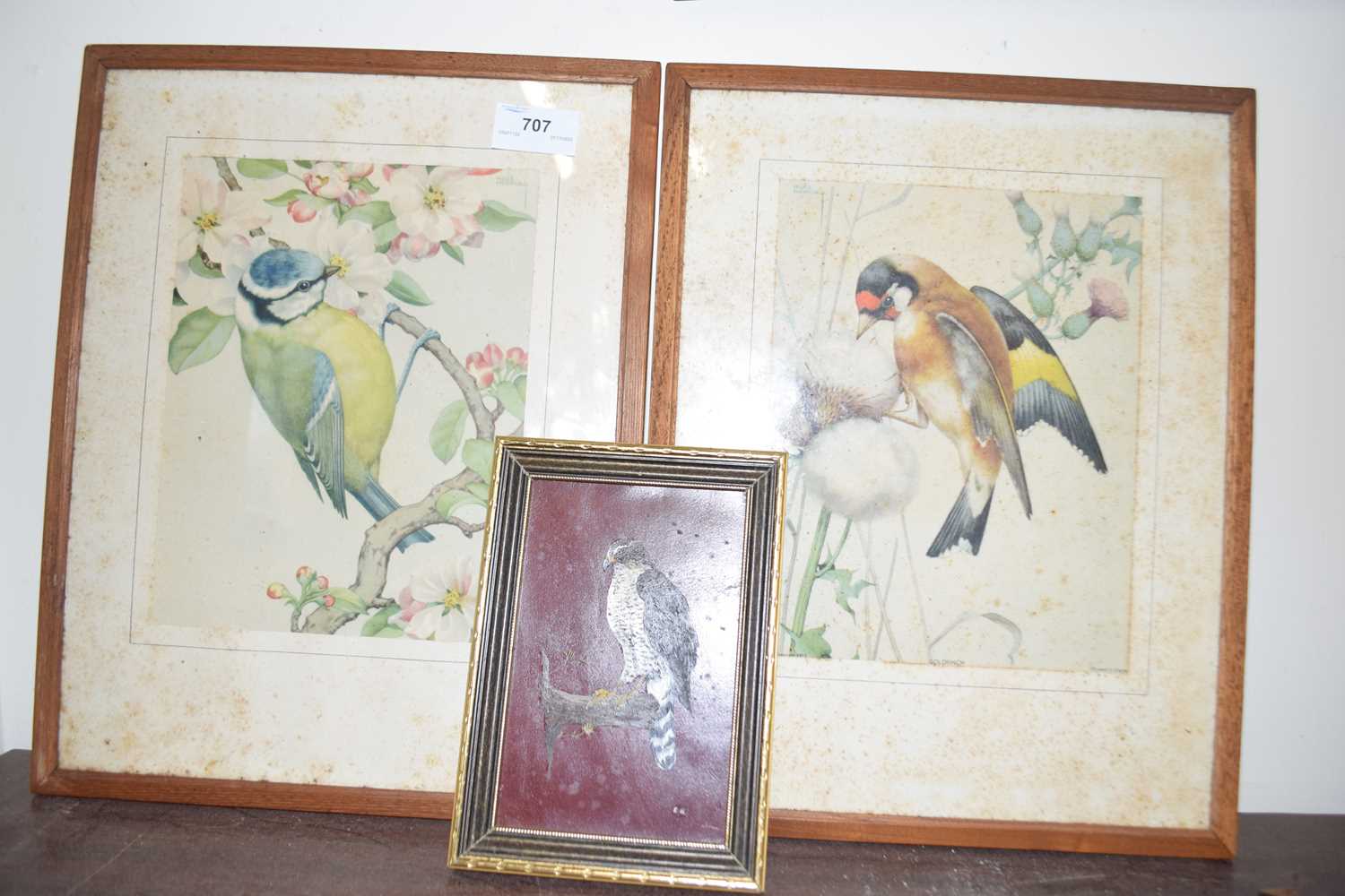 Coloured print, goldfinch and blue tit together with a further study of a hawk (3)