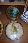 Mixed Lot: Comprising pair of feather pictures of birds together with a pair of oil on board