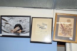 Mixed Lot: Study of lapwing together with framed pressed flowers and a photograph of a gun dog