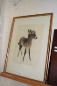 Coloured print of a donkey foal, indistinctly signed in pencil, framed and glazed