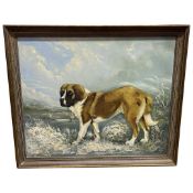 A.J Cole (British, 20th century), study of a Saint Bernard, oil on canvas, signed and dated 86,