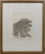 'Cordes-Sur-Ciel', limited edition, numbered (66/120) and indistinctly signed in pencil to plate