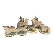 Set of six porcelain models of sheep, late 19th Century, of graduated sizes (minor restoration to