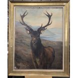 British School, 20th century, portrait of a highland stag, oil on canvas, signed "E. Nilsen" to