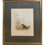 After Mads Stage (Danish, 20th century), woodcock, chromolithograph, signed, mounted, 9.5x11.5ins,