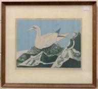 Thomas Donald Plenderleith RA (British, 20th century) Gannet on a nest, 12x16ins, signed and