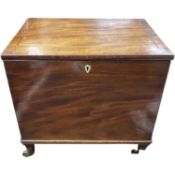 Georgian mahogany cellarette box of hinged rectangular form, sides with brass swan neck handles,