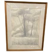 Bill Darrell inscribed verso dated 1966, crayon drawing 'The Tree'