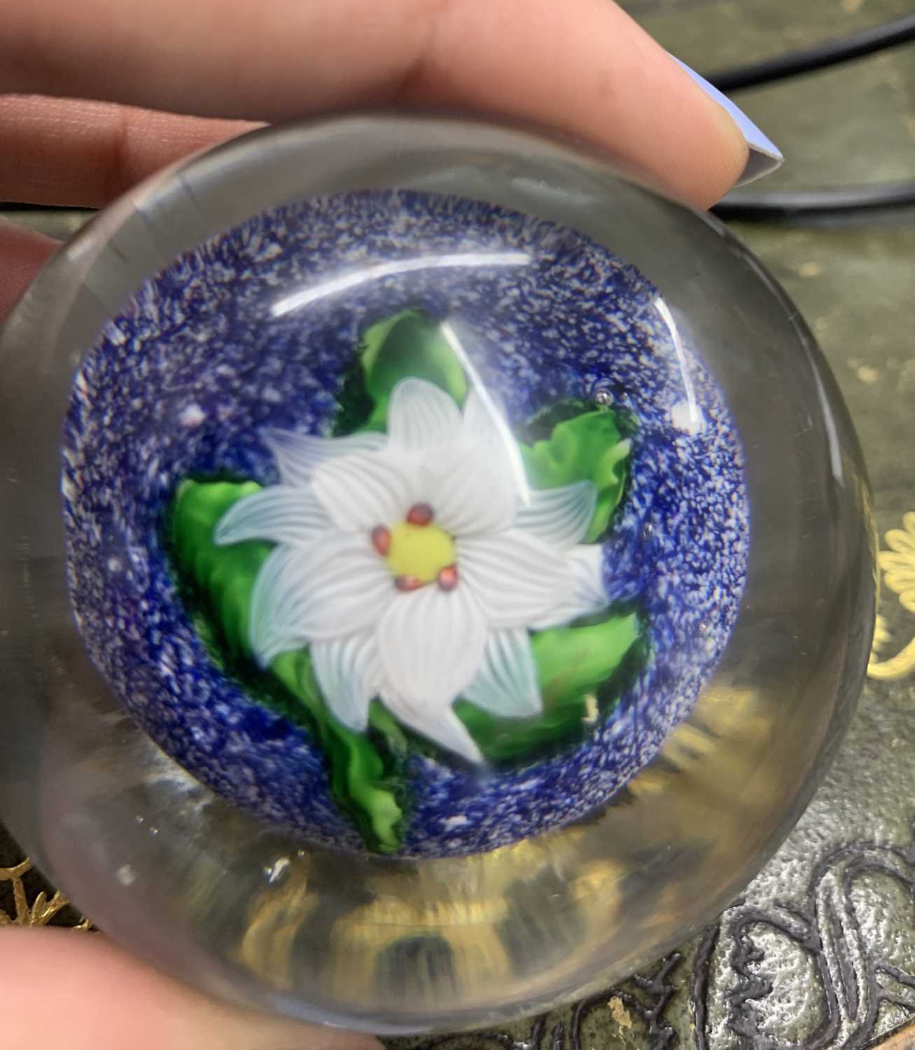 19th century St Louis miniature paperweight with a white flower and green leaves on a blue and white - Image 6 of 10