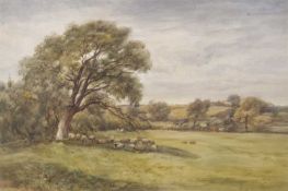 Arthur James Stark (British 1831-1902), Landscape with sheep sheltering under a tree, watercolour,