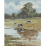 Michael J. Sanders (British, b.1950), Cattle at Felbrigg II, watercolour, mounted, 8.5x7ins,