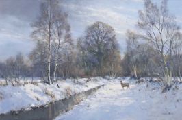 Colin W. Burns (British, b.1944), Roe Deer Winter, Hickling, oil on canvas, signed Colin W Burn