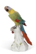 A very large meissen model of a parrot seated on a tree stump, brightly coloured, 19th Century,