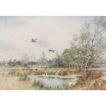 Collin W Burns (British b.1944-), a pair of pheasants take flight over Breckland landscape,