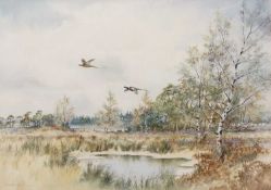 Collin W Burns (British b.1944-), a pair of pheasants take flight over Breckland landscape,