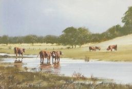 Michael J. Sanders (British, b.1950), Cattle at Felbrigg, watercolour, 9.5x13.5ins, mounted,