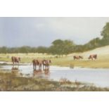 Michael J. Sanders (British, b.1950), Cattle at Felbrigg, watercolour, 9.5x13.5ins, mounted,