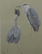 Richard Barret Talbot Kelly (British, 1896-1971), A study of Herons, watercolour on buff paper,