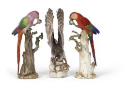 Pair of 19th Century meissen parrots, both mounted on tree stumps with branches (losses to leaves)