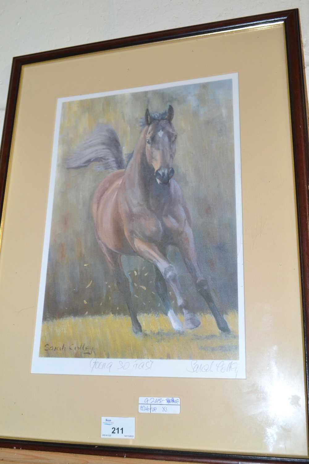 Sarah Colley, Going so Fast, coloured print, framed and glazed