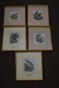 Collection of ornithological prints