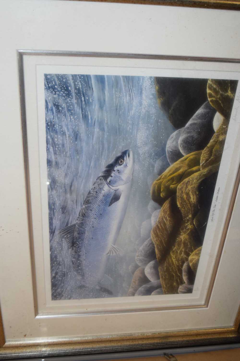 Mixed Lot: Various framed studies of salmon and other assorted pictures - Image 3 of 3