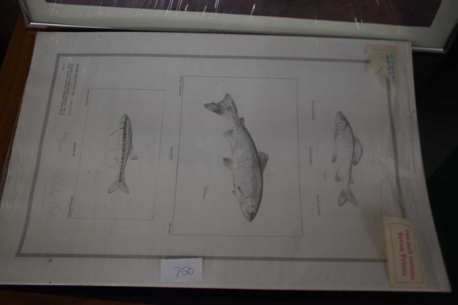 Mixed Lot: Various framed studies of salmon and other assorted pictures