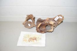 Fossilised woolly rhino vertebrae recovered from the North Sea together with a further fossilised