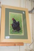 Sarah Pyefinch study of a hen, framed and glazed