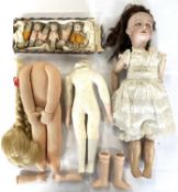 Miniature Dolls and SFBJ Doll