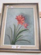 20th Century school study of an Amaryllis flower, oil on canvas