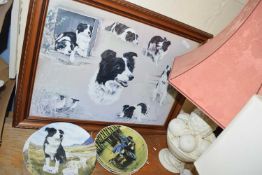 Coloured print, collie dogs together with various collectors plates from Tykes Border Country Series