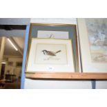 Mixed Lot: K Tidd study of a blue tit together with a further coloured print of a sparrow (2)