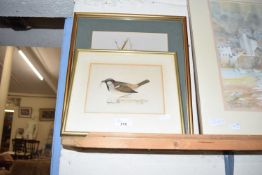 Mixed Lot: K Tidd study of a blue tit together with a further coloured print of a sparrow (2)