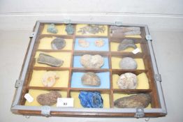 Case of various assorted fossils