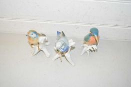 Karl Ens model birds (3)