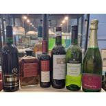 Seven mixed bottles, Beau Village Medoc, Riesling dry, Golden Grape Estate Shiraz, The Gourmet