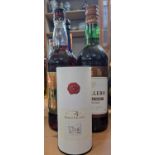 Seven bottles, small boxed Borgo Vecchio, Nelsons Blood spiced rum, Caballero pale medium Sherry,