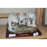 Juliana collection model of polar bears