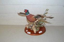 Border Fine Arts model Rising Pheasant