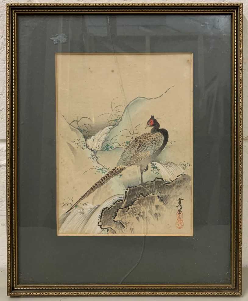 Continental School, 20th century, pheasant by a waterfall, watercolour on laid paper, 9.5x6.5ins,