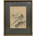Continental School, 20th century, pheasant by a waterfall, watercolour on laid paper, 9.5x6.5ins,