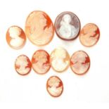 A group of nine various unmounted cameo's of various sizes depicting ladies