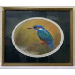 James J.Allen (British, 20th century) Kingfisher, gouache, signed and dated '80, oval mount, 5.5x7.