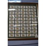 Framed quantity of Players cigarette cards with Grand National Winners