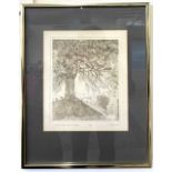 Brian Hanscomb R.E. (British, 20th century), "Beach Tree near Kimpton", copper plate engraving,