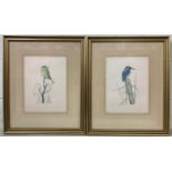 Edwin T. Chicken (British, 20th century) "Kingfisher" and "Robin" offset lithographs, signed in