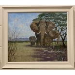 David Baxter (British, contemporary), elephants in in front of Kilimanjaro, oil on board, signed,